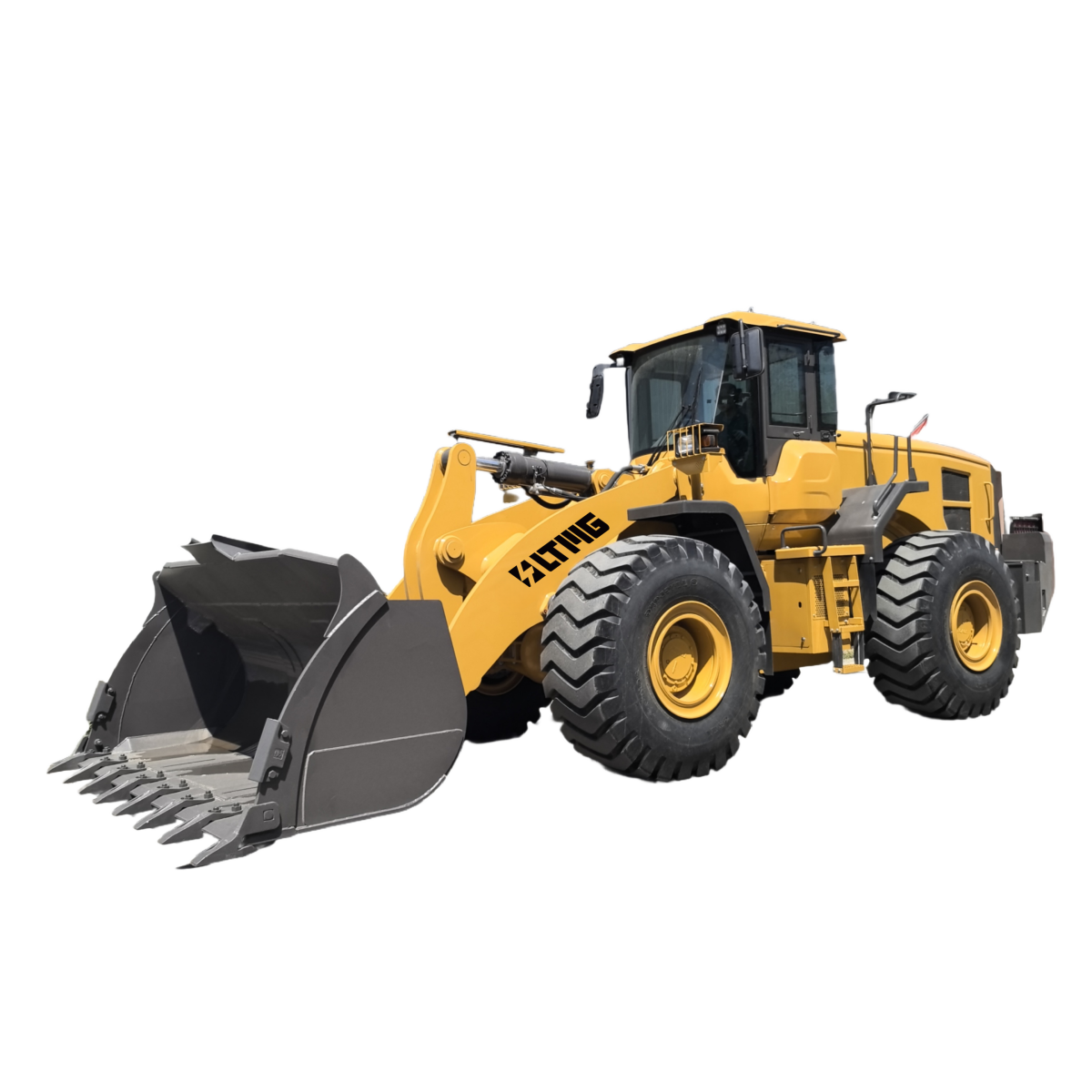 Cargador ordinario LT1000