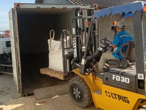 LTMG FD30 diesel forklift in Indonesia