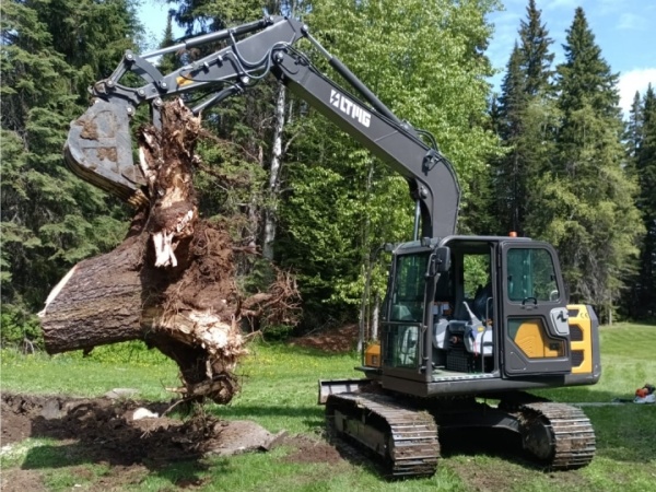 LTMG LTE75 crawler excavator in Canada