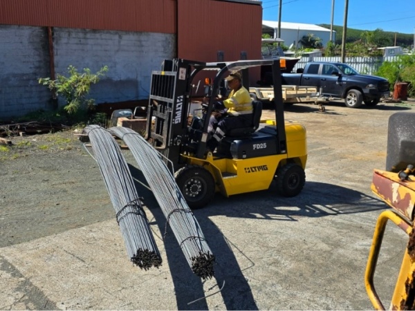 LTMG FD25 Diesel Forklift in New Caledonia