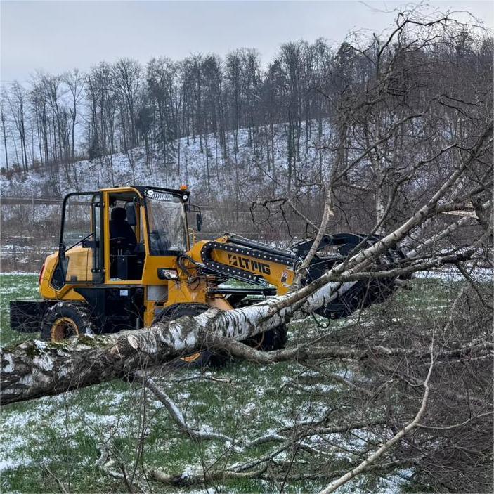 LT925T Telescopic Loader in Switzerland